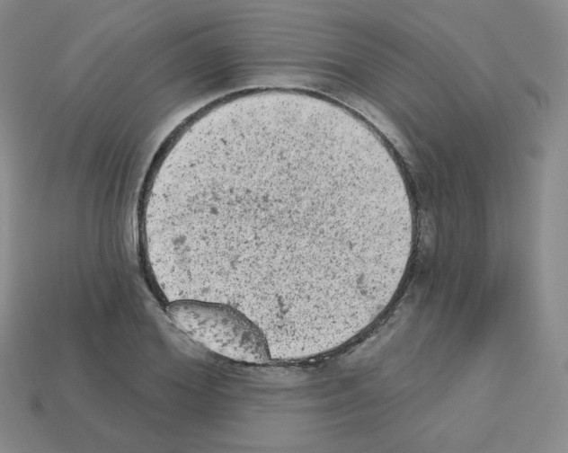 X0000112780980200910011254