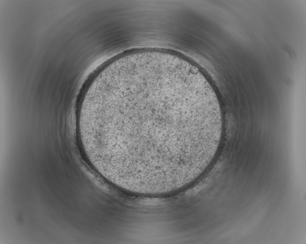 X0000112780982200910011254