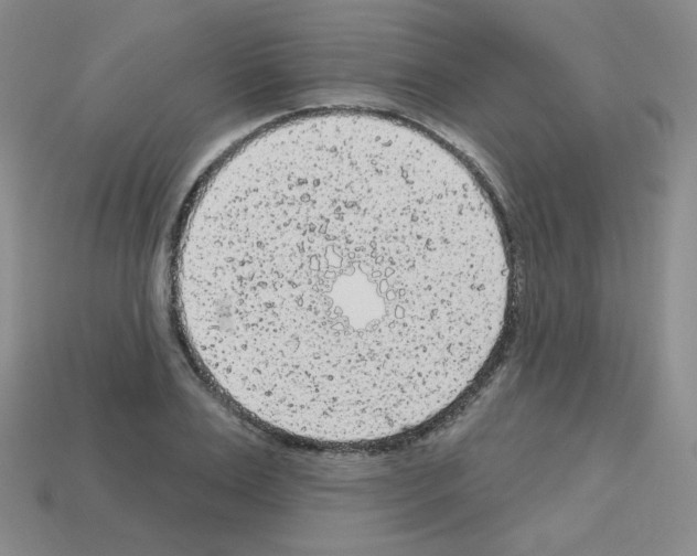 X0000112780983200910011254