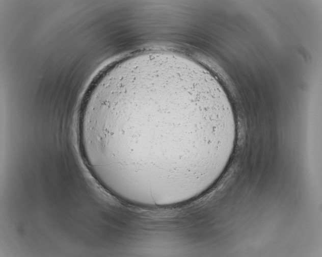 X0000112780984200910011254