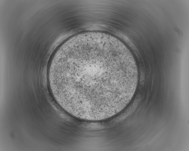 X0000112780986200910011254