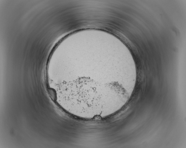 X0000112780988200910011254