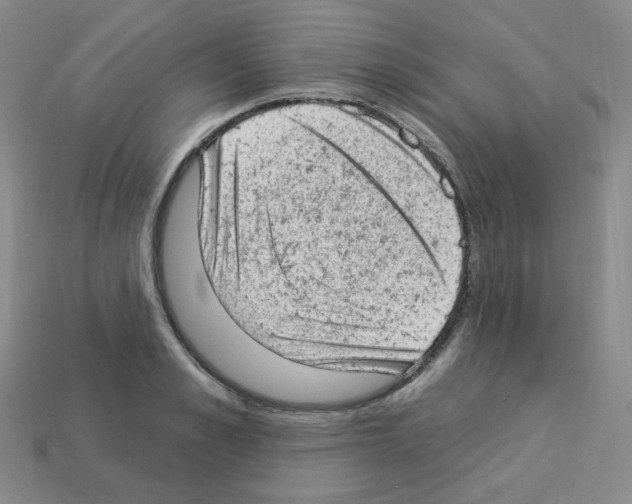 X0000112780989200910011254