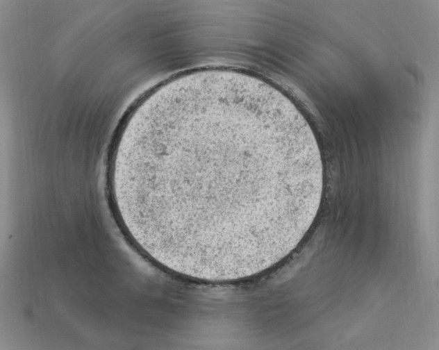 X0000112780991200910011254