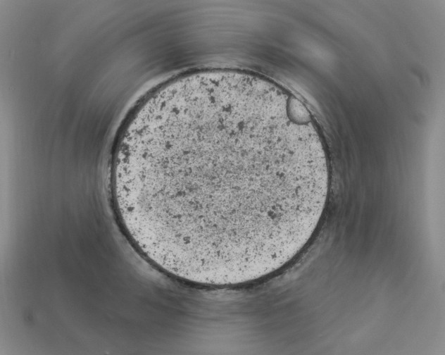 X0000112780992200910011254