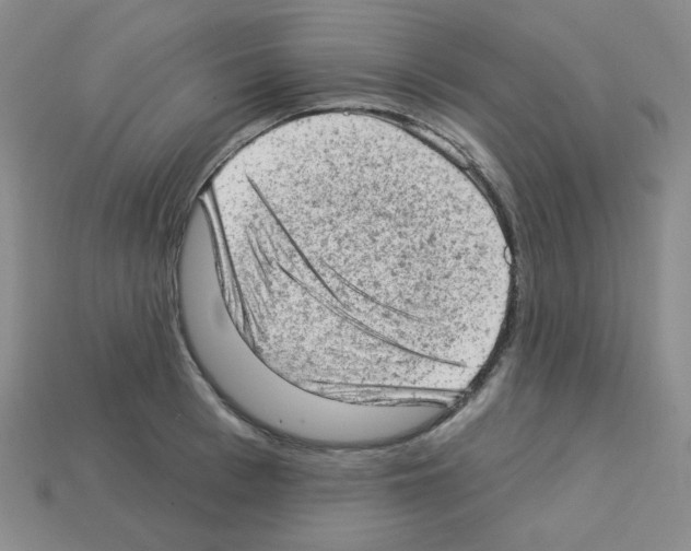 X0000112780993200910011254