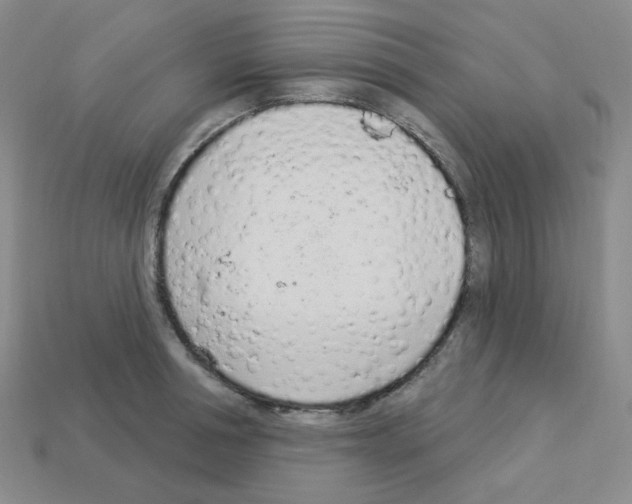 X0000112780994200910011254