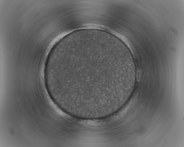 X0000112780995200910011254