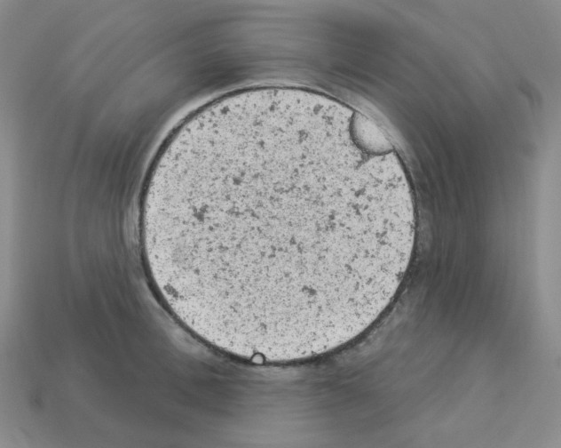 X0000112780996200910011254