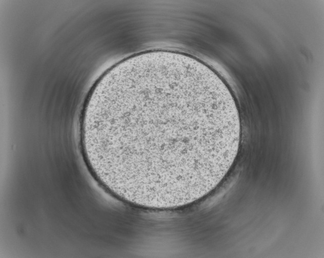 X0000112780999200910011254