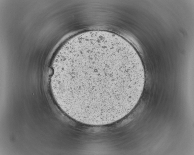 X0000112781000200910011254