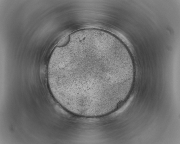 X0000112781001200910011254