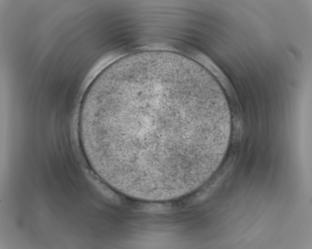 X0000112781002200910011254