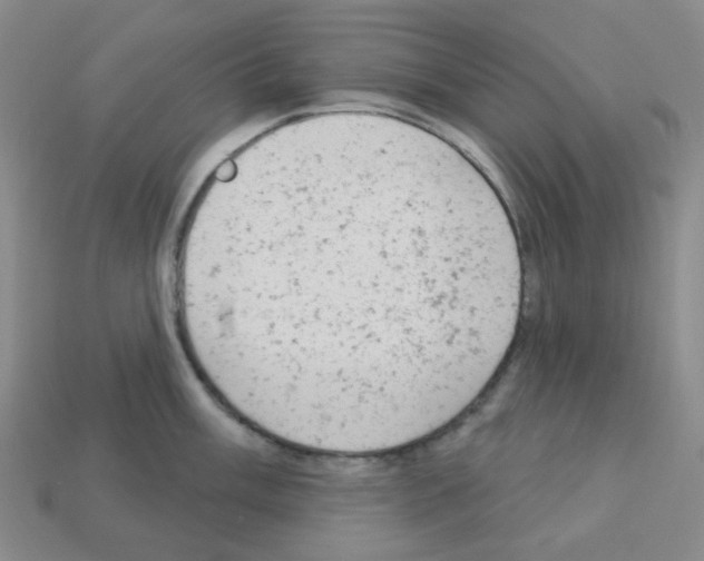 X0000112781003200910011254