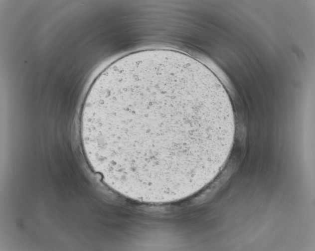 X0000112781004200910011253