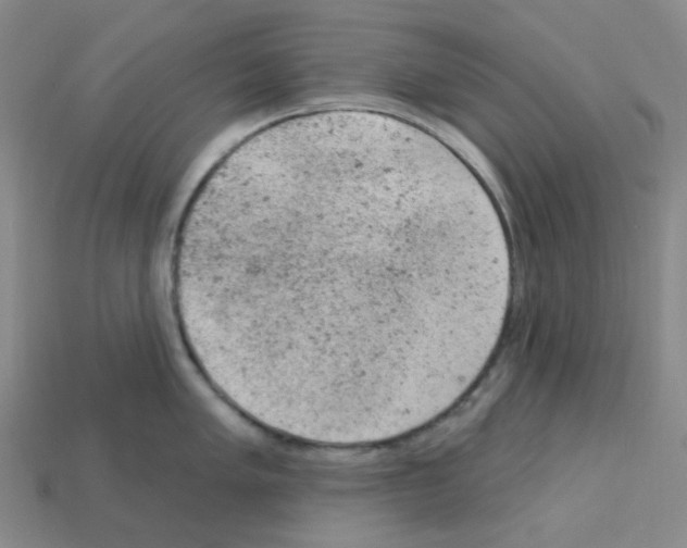 X0000112781005200910011253