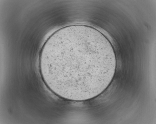 X0000112781006200910011253