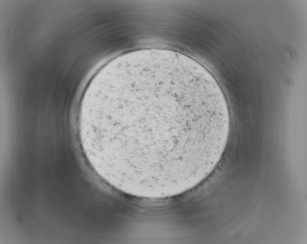 X0000112781008200910011253