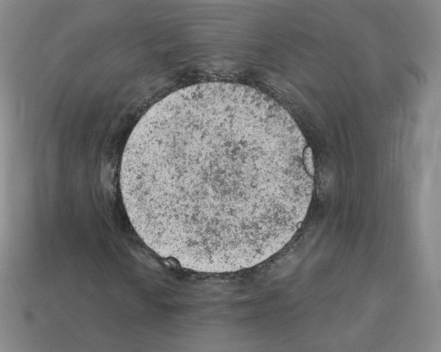 X0000112781010200910011253