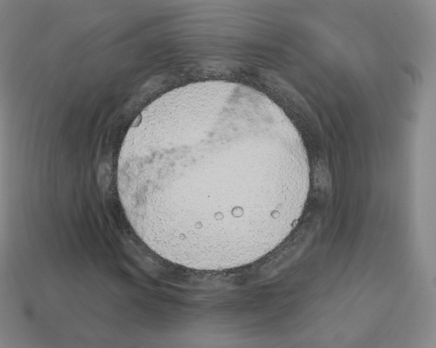 X0000112781011200910011253