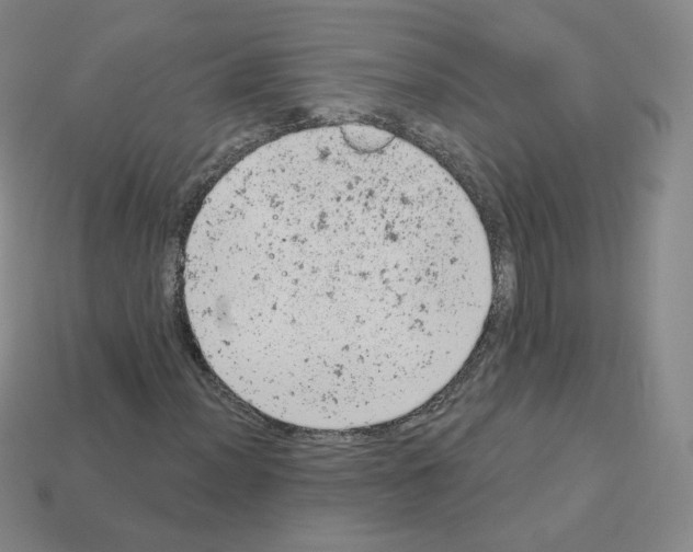 X0000112781012200910011253