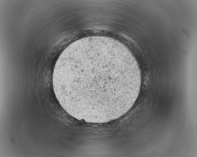 X0000112781014200910011253