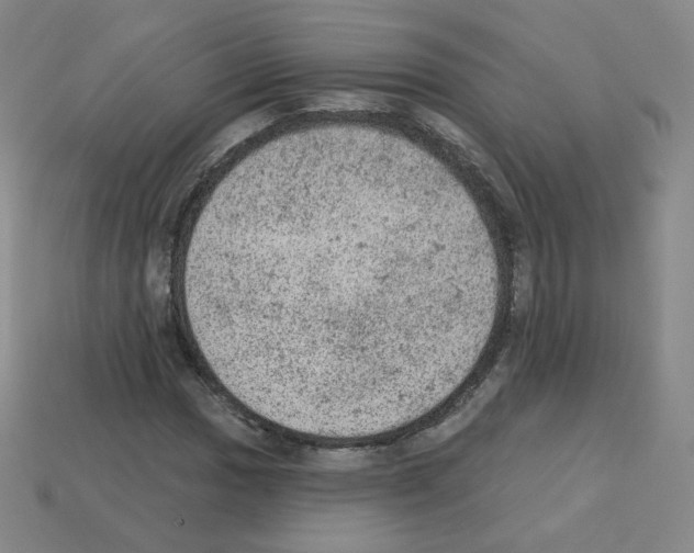 X0000112781017200910011253