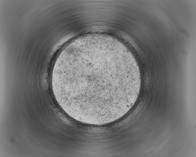 X0000112781018200910011253