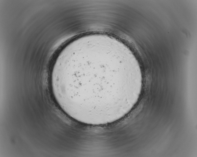 X0000112781019200910011253