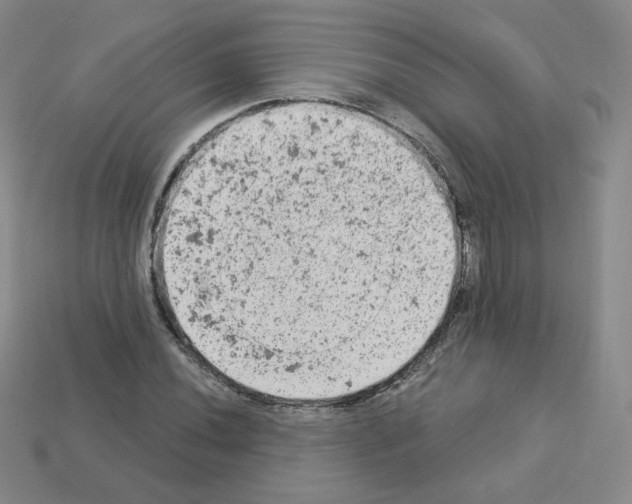 X0000112781020200910011253