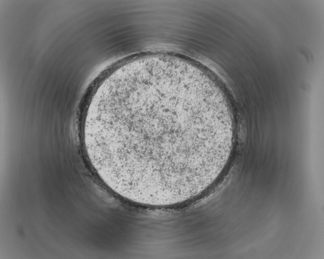 X0000112781022200910011253