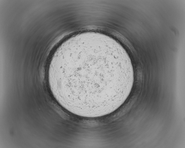 X0000112781023200910011253