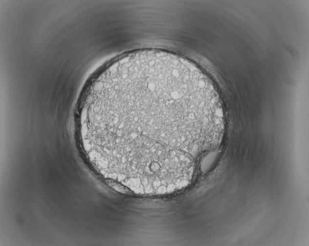 X0000112781024200910011253