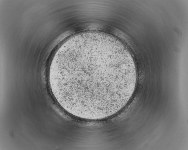 X0000112781026200910011253