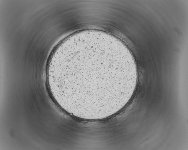 X0000112781028200910011253