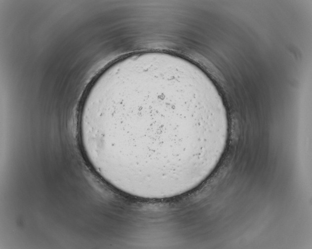 X0000112781031200910011253