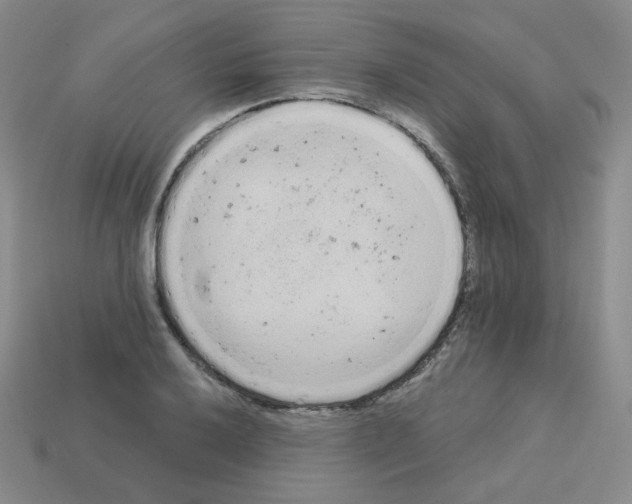 X0000112781032200910011253