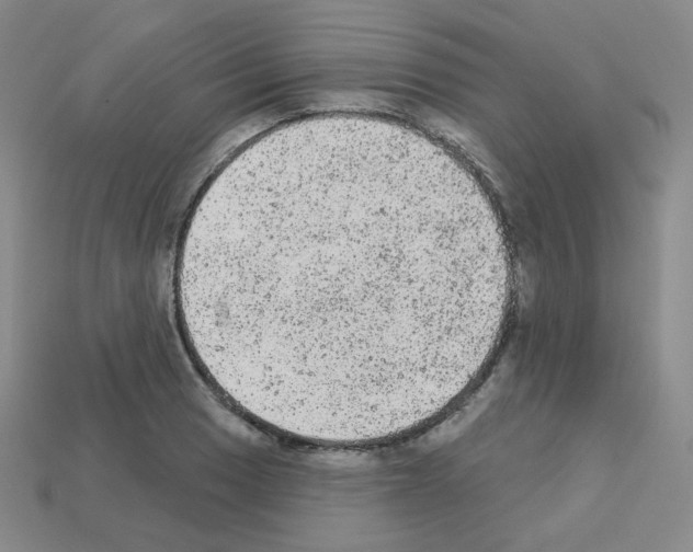 X0000112781033200910011253