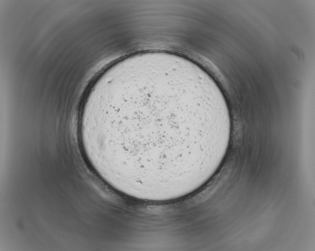 X0000112781035200910011253