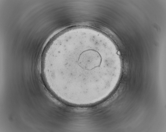 X0000112781036200910011253