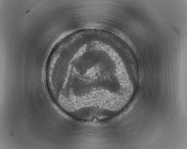 X0000112781037200910011253