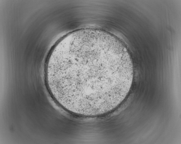 X0000112781038200910011253