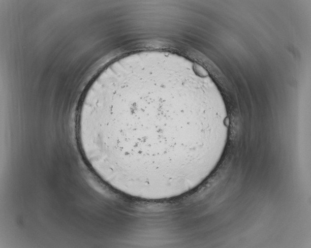 X0000112781039200910011253