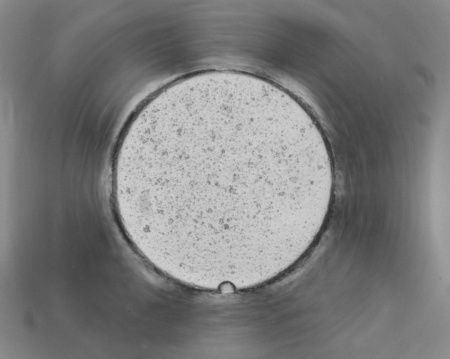 X0000112781040200910011253