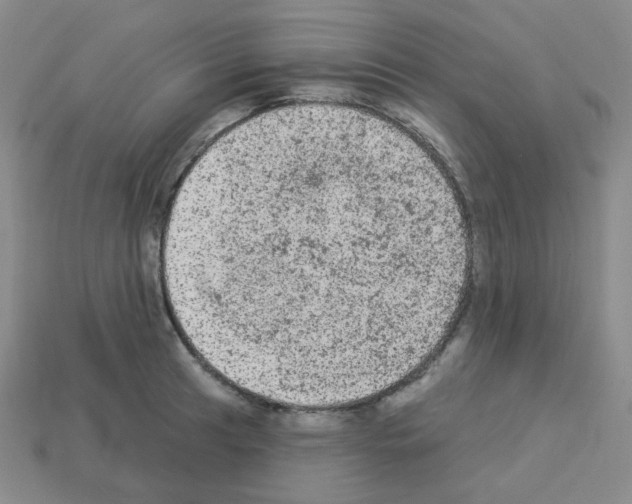 X0000112781041200910011253