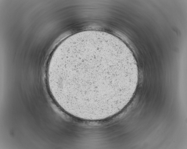 X0000112781042200910011253