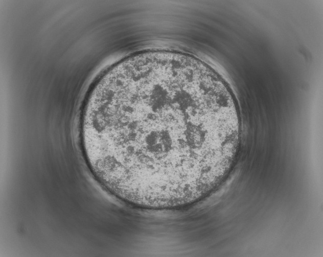 X0000112781045200910011253