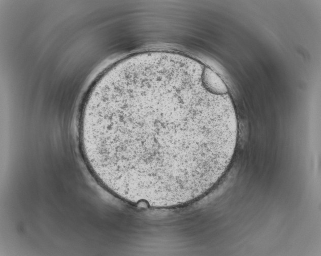 X0000112781046200910011253