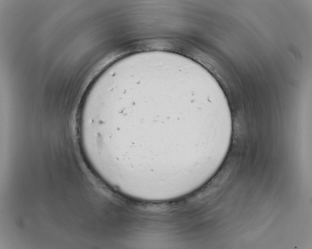 X0000112781047200910011253