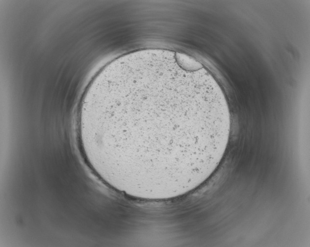 X0000112781048200910011253